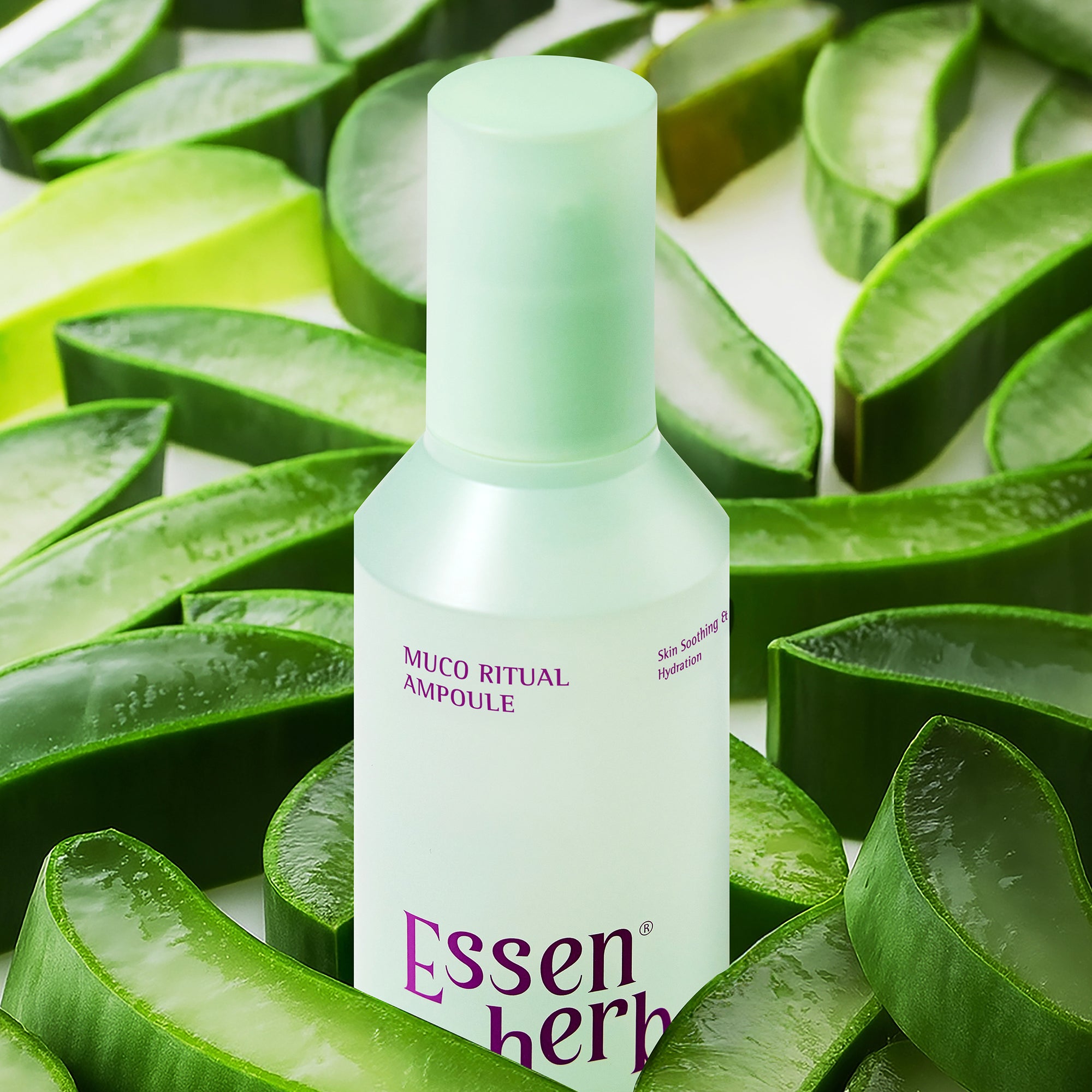 Essenherb muco ritual ampoule - AMI Cosmetic