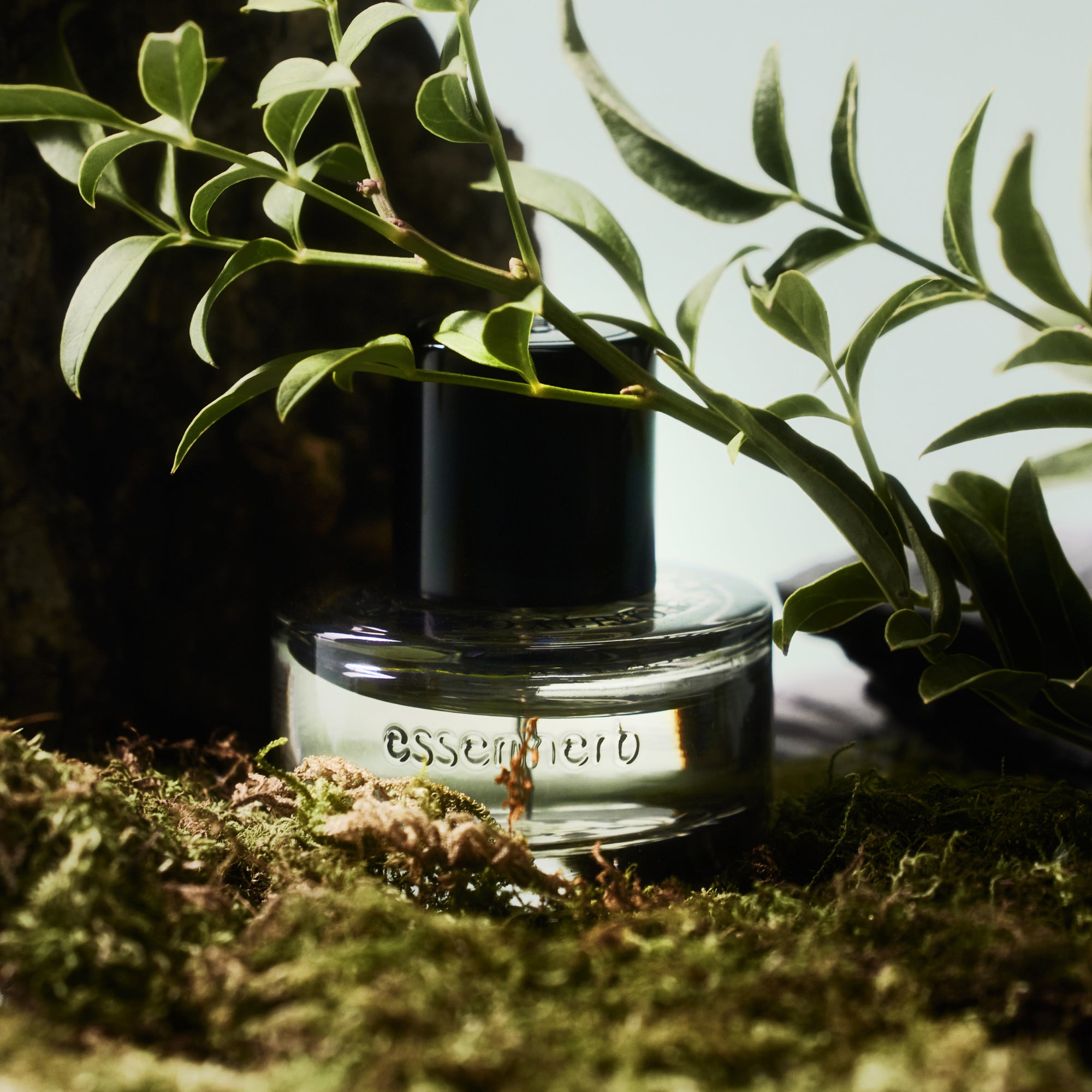 Essenherb Eau de Parfum Forest Oud 30ml - AMI Cosmetic